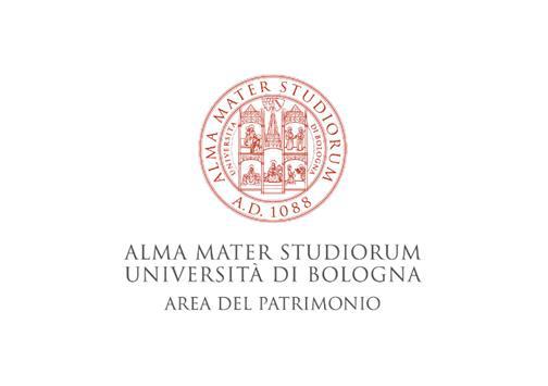 Appartamento composto da 3 locali, 2 bagni, cucina e 2 terrazzi, oltre ad una porzione di giardino ad uso esclusivo, alla cantina, al box e al posto auto + Porzione di giardino ad uso esclusivo, cantina al piano interrato, box auto, e posto auto scoperto nel cortile. Id. cat. Foglio 191, Mappale 8, Sub 502 (appartamento e giardino) - 18 (box) - 508 (posto auto scoperto). Sup. mq 161