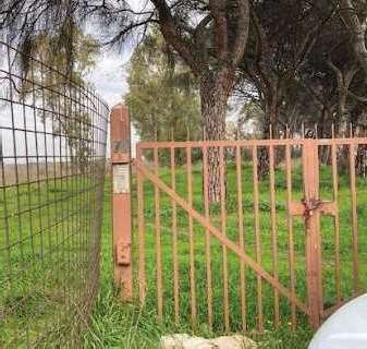 Abitazione rurale, due corpi di fabbrica, retrostante andito coperto. Il villino un. principale res., casa colonica porzione a servizio del villino, indipendente funzionalmente. Si ipotizza che il piano terra della casa colonica in origine fosse adibito a stalla e/o fienile o ricovero attrezzi e servizi vari per l’agricoltura, piano superiore ad alloggio dei braccianti agricoli stagionali,  con le stanze per gli occupanti ed un terrazzo; scala interna e scala esterna accesso diretto al primo piano.  Id. Cat. [N.C.E.U.] Un. Pr. Res. cat A/7 fg 968 part. 10 sub 3, SEM. IRR. fg 968 part. 14, SEM. fg 968 part. 7, ENTE URB. fg 968 part. 12, SEM. fg 968 part. 8, SEM. fg 968 part. 9, FABBR. RUR. fg 968 part. 13. Sup. cat. mq 188 (villino) 120.770 (terreni), 360 (fabb.).Libero. Piena Proprietà