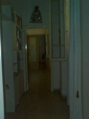 Abitazione in Massa (Massa Carrara) Via Xxvii Aprile 13 (piano terra, int. 1). Composto da: ingresso, corridoio, 2 disimpegni, 5 camere, cucina, bagno e ripostiglio + area scoperta. Identificativi [N.C.E.U.] Categoria Catastale A2 foglio 66 part. 753 sub. 1 (compresa area scoperta ad uso esclusivo). Mq 193. Libero. Piena proprietà.