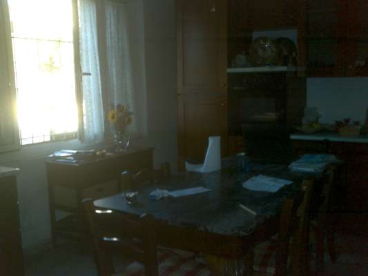 Abitazione in Massa (Massa Carrara) Via Xxvii Aprile 13 (piano terra, int. 1). Composto da: ingresso, corridoio, 2 disimpegni, 5 camere, cucina, bagno e ripostiglio + area scoperta. Identificativi [N.C.E.U.] Categoria Catastale A2 foglio 66 part. 753 sub. 1 (compresa area scoperta ad uso esclusivo). Mq 193. Libero. Piena proprietà.