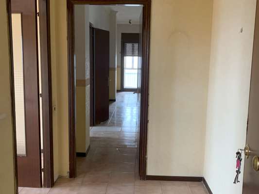 Abitazione in Ciampino (Roma) Via Mura Dei Francesi 195 (scala Pal.8, piano terzo, int. 9). Composto da: ingresso, corridoio, 5 camere, cucina, 2 bagni, 2 verande e 2 terrazzi + -. Identificativi [N.C.E.U.] Categoria Catastale A2 foglio 8 part. 515 sub. 534 . Mq 141. Libero. Piena proprietà.