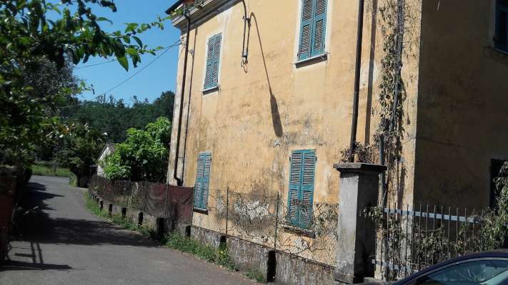 Abitazione in Aulla (Massa Carrara) Via Filippo Turati 24 (piano terra). Composto da: P. TERRA: ingresso, 2 disimpegni, sala pranzo, sala, cucina, soggiorno e ripostigli e P. PRIMO: 2 disimpegni, 4 camere, studio, bagno, lavanderia e balcone + cantina e tettoia e deposito e area scoperta. Identificativi [N.C.E.U.] Categoria Catastale A7 foglio 24 part. 450 sub. 1 (compresa cantina, tettoia, deposito ed area scoperta ad uso esclusivo). Mq 299. Libero. Piena proprietà.