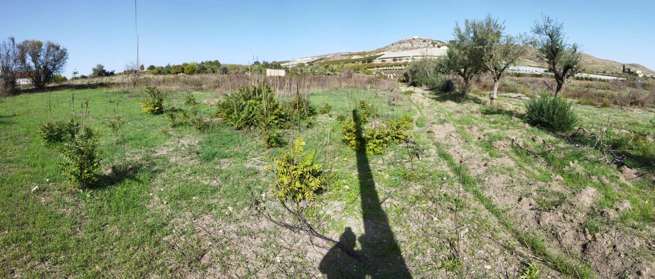 Appezzamento terreno (33.820 mq.) con fabbricato rurale (320 mq.). Sup mq (arr) 34140. Lotto Libero. Piena proprietà