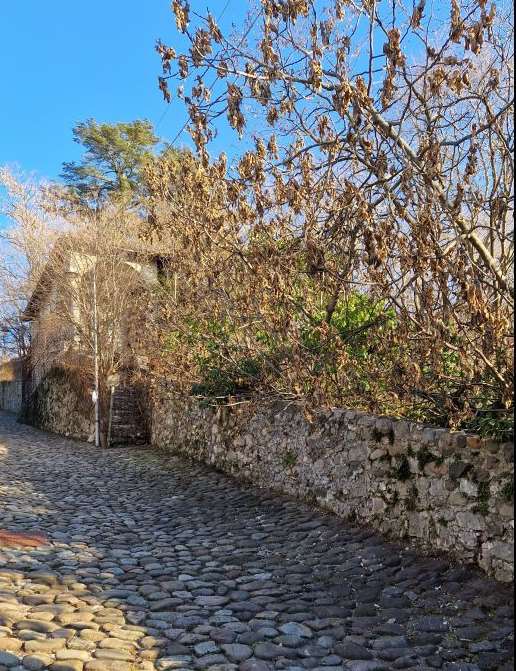 Vetusta chiesetta/cappella ripristinata a metà del 1700 su iniziativa del conte Filippo Francesco Manci, raggiungibile solo attraverso uno scosceso passaggio pedonale e ripida scalinata. Terreno completamente coltivato a bosco. Terreno, circoscritto -sul lato nord- da mura di cesura, lungo la suddetta salita Manci, sottoposta anch’esse al vincolo storico – culturale. I terreni sono completamente coltivati a bosco, perlopiù robinie e piante similari di poco pregio, giacitura in forte pendenza verso il Torrente Fersina. Id. cat. Unità principale categoria E7 foglio 47 particella 1319, Terreno categoria BOSCO foglio 47 particella 801/2, Terreno categoria BOSCO foglio 47 particella 802/1. Sup. 75 mq catastali, 11261 mq catastali, 4860 mq catastali. Libero. Piena proprietà.