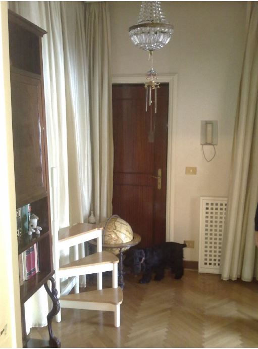Appartamento 4 locali + servizi semplici. Id. cat. F. 25 Mapp.128 Sub 27. Sup. mq 157. LIBERO. PIENA PROPRIETA'