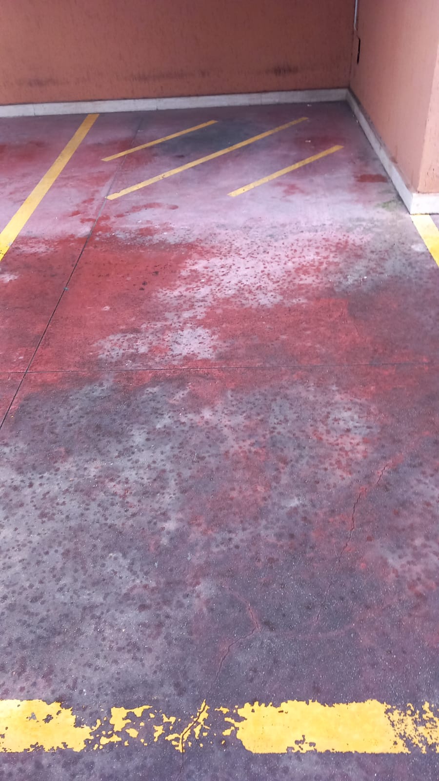 Posto auto scoperto con accesso da Largo Virgilio Brocchi n. 68, situato al piano Terra della scala C, interno 23. Id. cat. Unità Secondaria cat. C/6 foglio 853 part. 738 sub 106. Sup. mq catastali 13