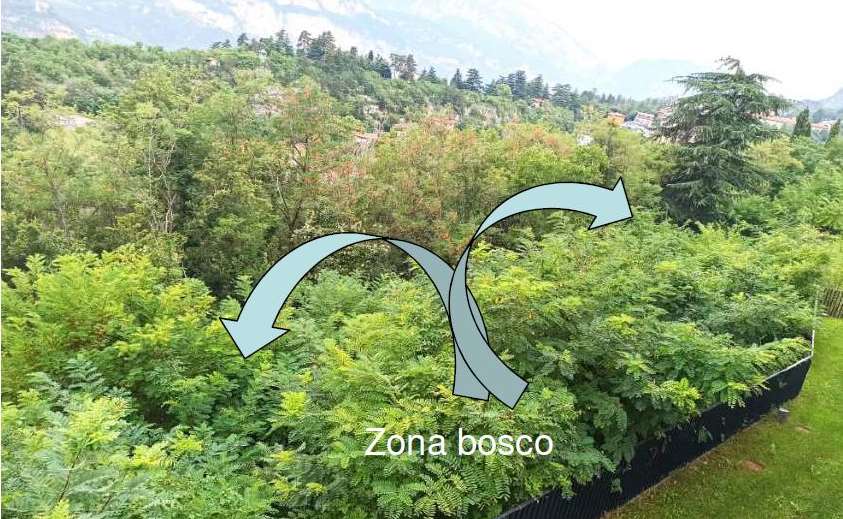 Vetusta chiesetta/cappella raggiungibile attraverso scosceso passaggio pedonale (salita Manci), si accede attraverso una ripida scalinata. Terreno completamente coltivato a bosco, perlopiù robinie e piante similari di poco pregio, presentano una giacitura in forte pendenza verso il sottostante Torrente Fersina. Terreno, circoscritto -sul lato nord- da mura di cesura, lungo la suddetta salita Manci, sottoposta anch’esse al vincolo storico – culturale. I terreni sono completamente coltivati a bosco, perlopiù robinie e piante similari di poco pregio, presentano una giacitura in forte pendenza verso il sottostante Torrente Fersina. Id. cat. Un. pr. cat. E7 fg. 47 part. 1319; BOSCO fg. 47 part. 801/2; BOSCO fg. 47 part. 802/1. Sup. 75 mq cat.; 11261 mq cat.; 4860 mq cat. Libero. Piena Proprietà