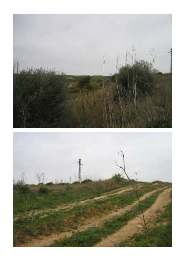 Terreno incolto scosceso caratterizzato da una pendenza forte e malagevole, ripido e dirupato con presenza di arbusti di ulivo parentemente selvatici. Id. Cat. [N.C.E.U.] fg. 41 p.lle 192 e 193. Sup (arr) mq. 33.340. piena proprietà. libero