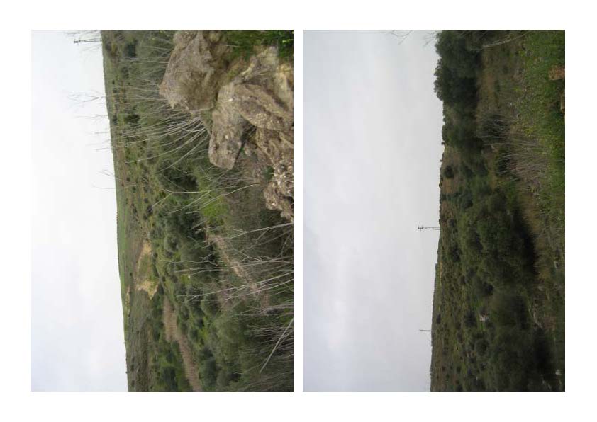 Terreno incolto scosceso caratterizzato da una pendenza forte e malagevole, ripido e dirupato con presenza di arbusti di ulivo parentemente selvatici. Id. Cat. [N.C.E.U.] fg. 41 p.lle 192 e 193. Sup (arr) mq. 33.340. piena proprietà. libero