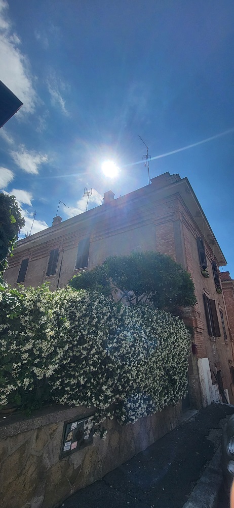 APPARTAMENTO INT.6 DI 2,5 VANI SENZA ASCENSORE. Dati catastali [N.C.E.U.] cat. A/2, fg. 519, part. 274, sub. 6. Sup. cat. 39. Piena proprietà lotto libero.